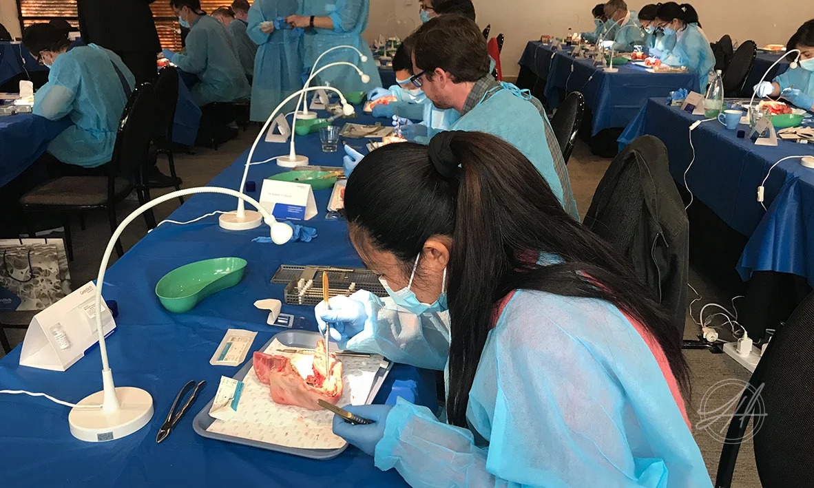 Dr Lizzy Hui training on advanced micro-surgical procedures